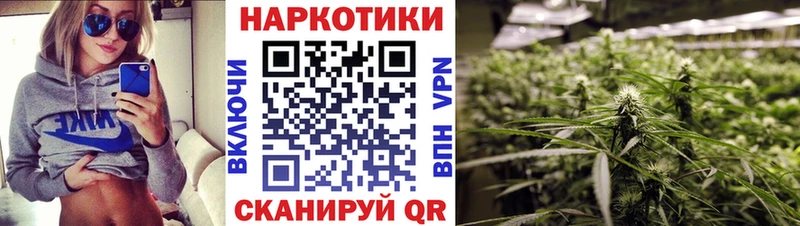 Где найти наркотики Кемерово Бошки Шишки  СК  МЕГА сайт  Гашиш  Псилоцибиновые грибы 