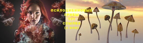 круглые Алзамай