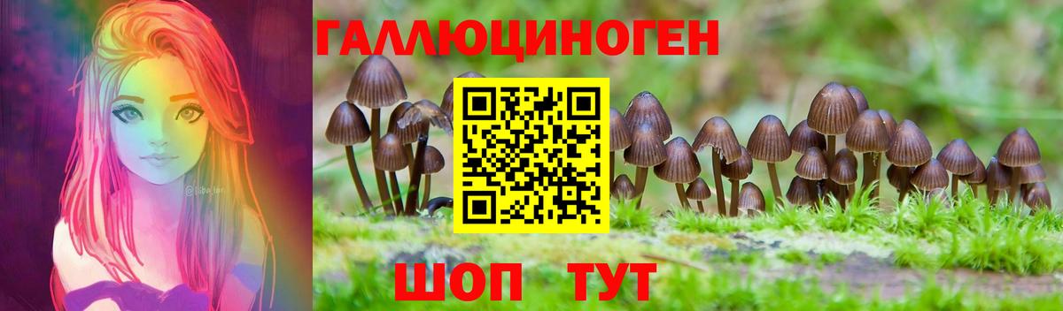 Галлюциногенные грибы MAGIC MUSHROOMS  Вход с VPN  Кемерово 