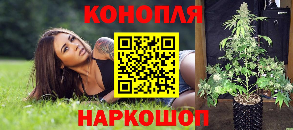 Бошки Шишки Amnesia Кемерово